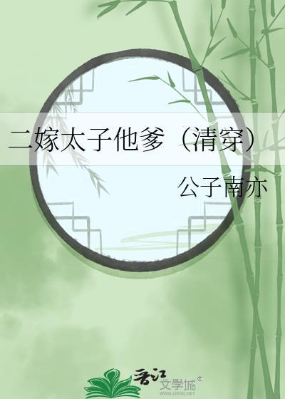 二嫁太子他爹清穿