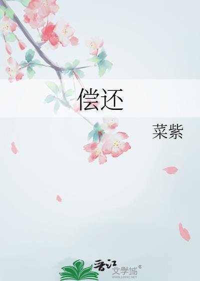 偿还免费完整版