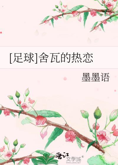 足球舍瓦的热恋全文阅读