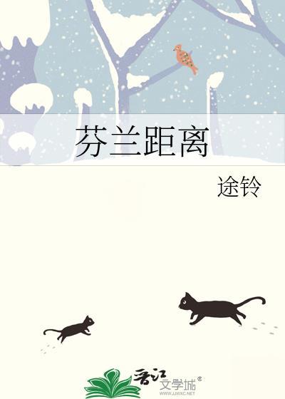 芬兰距离by
