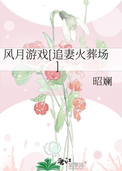 风月游戏TXT