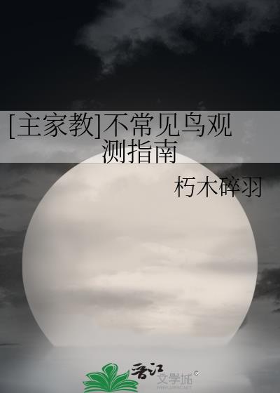 不常见的鸟类有哪些