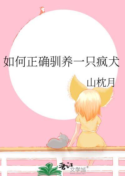 疯狗训练法则
