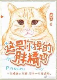 这是你掉的胖橘吗 绣生