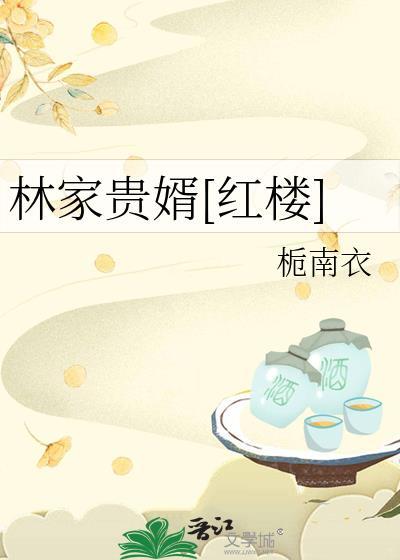 林家贵女txt