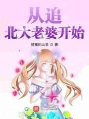 从追老婆开始走向巅峰 奇书