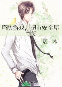 塔防塔游戏